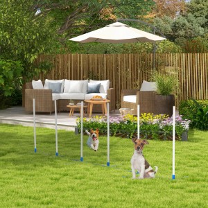 PawHut Hunde Agility Training Set mit zwei Hunden im Garten.