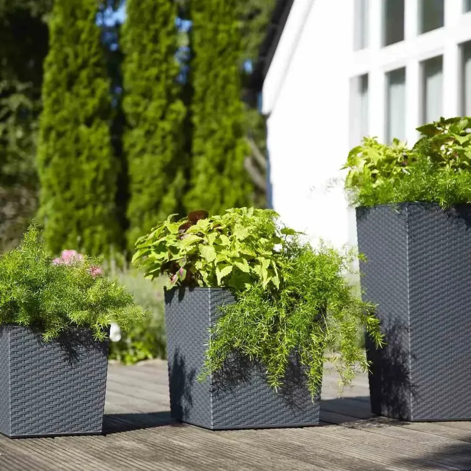 Siena Garden Pflanzgefäße Nizza Graphit, verschiedene Größen. Moderne Pflanzsäulen mit Rillenoptik.