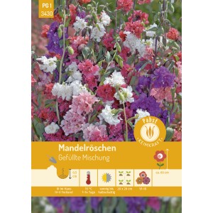Farbenfrohe Mandelröschen, gefüllte Mischung als Blumensamen für Beet und Rabatten.