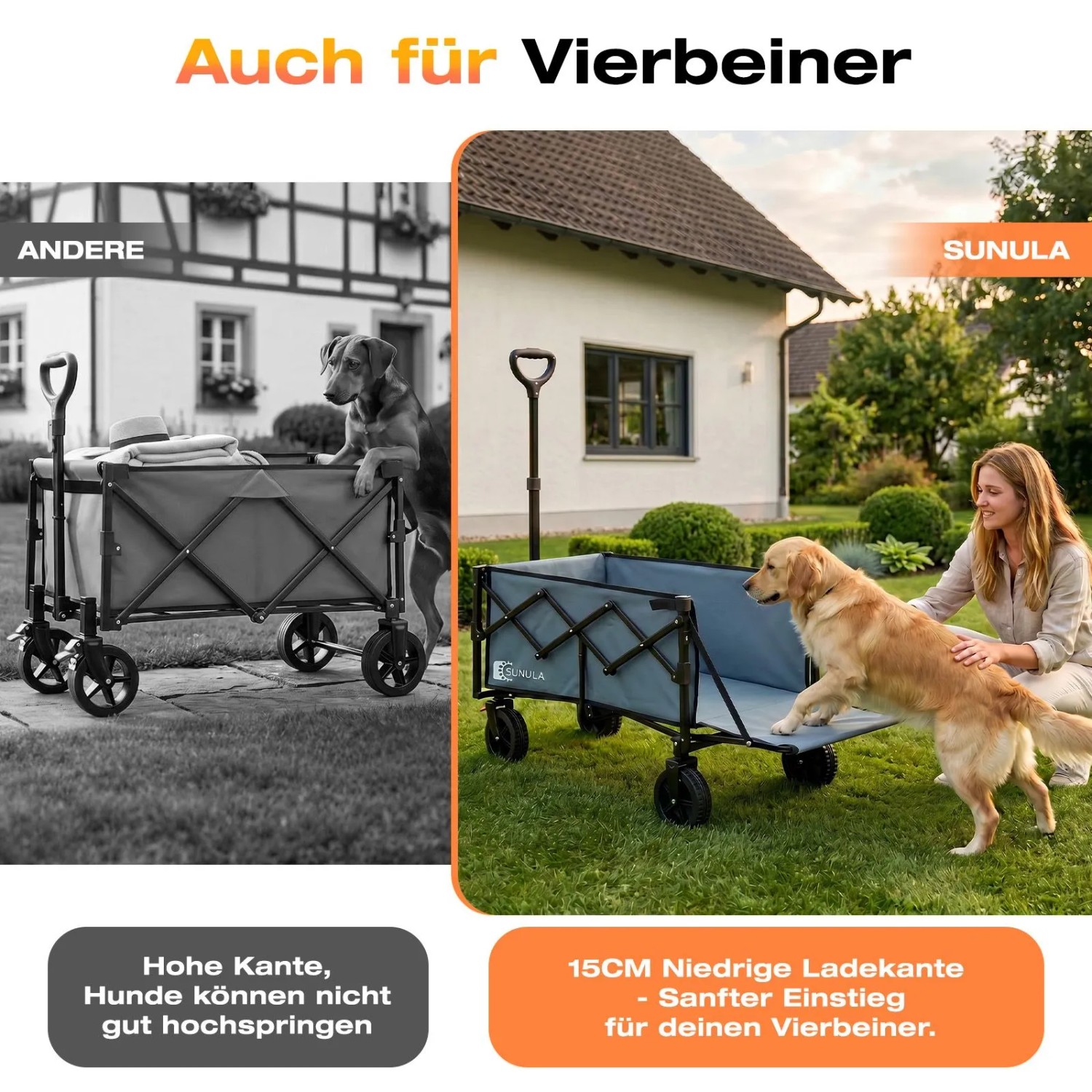 Blauer Sunula Bollerwagen faltbar mit niedriger Ladekante, Hund steigt leicht ein. Vergleich zu hohem Wagen. Camping Zubehör.