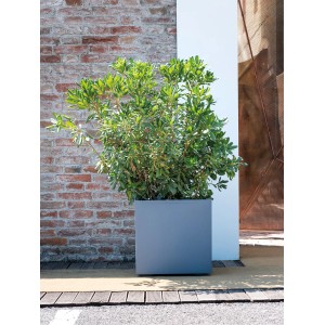 Aschgrauer, quadratischer Deroma Pflanztopf Quadro Millennium (49x49x49 cm) mit Bepflanzung.