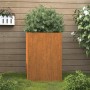 Rechteckiger vidaXL Pflanzkübel aus rostigem Cortenstahl mit grüner Pflanze. Ideal für Garten, Balkon, Terrasse.