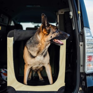 Fudajo Transportbox Xl Faltbar Beige 82X56X58Cm Hundebox Reisebox Katzenbox