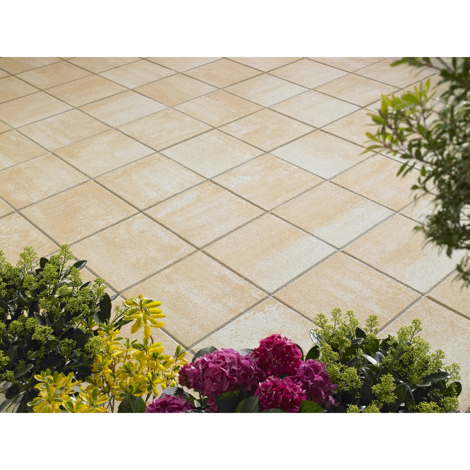 Verona Terrassenplatten in Sandsteingelb-Nuanciert, 40x40 cm, auf einer Terrasse mit Blumen.