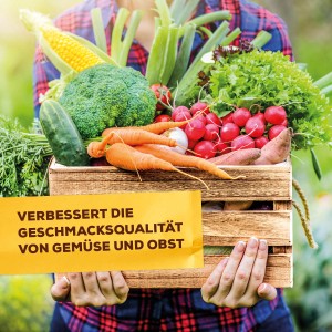 Kiste mit Gemüse (Karotten, Radieschen, Gurke) nach Anwendung von Solabiol Veggie Boost.