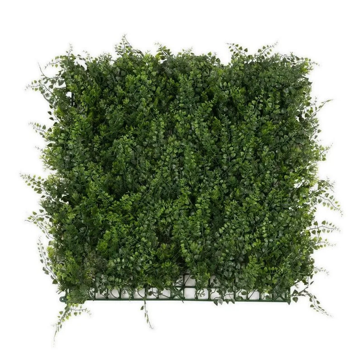 KARAT Pflanzenwand Fern Kunstpflanze zur Dekoration 50 x 50 cm