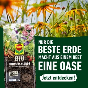 Sack Compo Bio Universal-Erde, torffrei, 40L. Blumenerde für Garten, Gemüse und Kräuter.