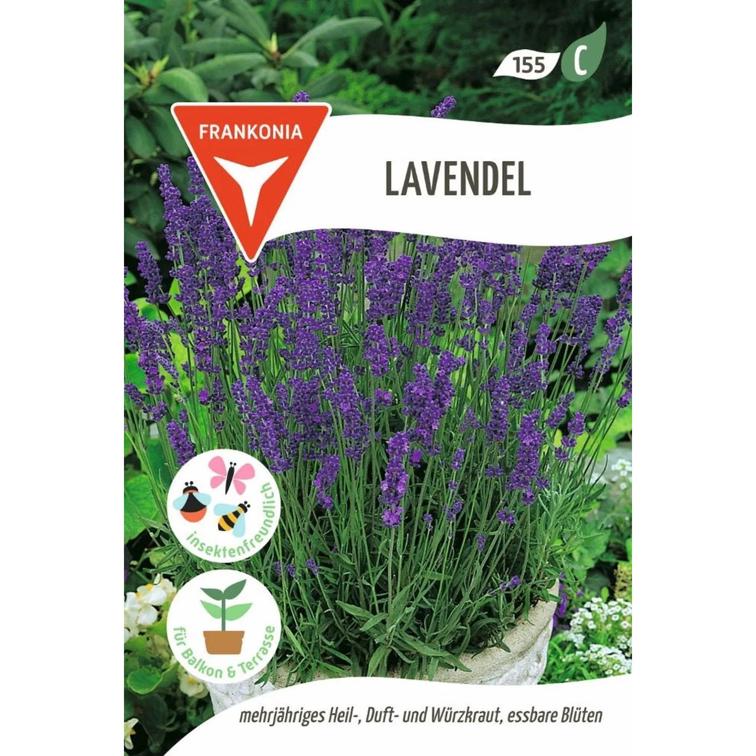 FRANKONIA Lavendel