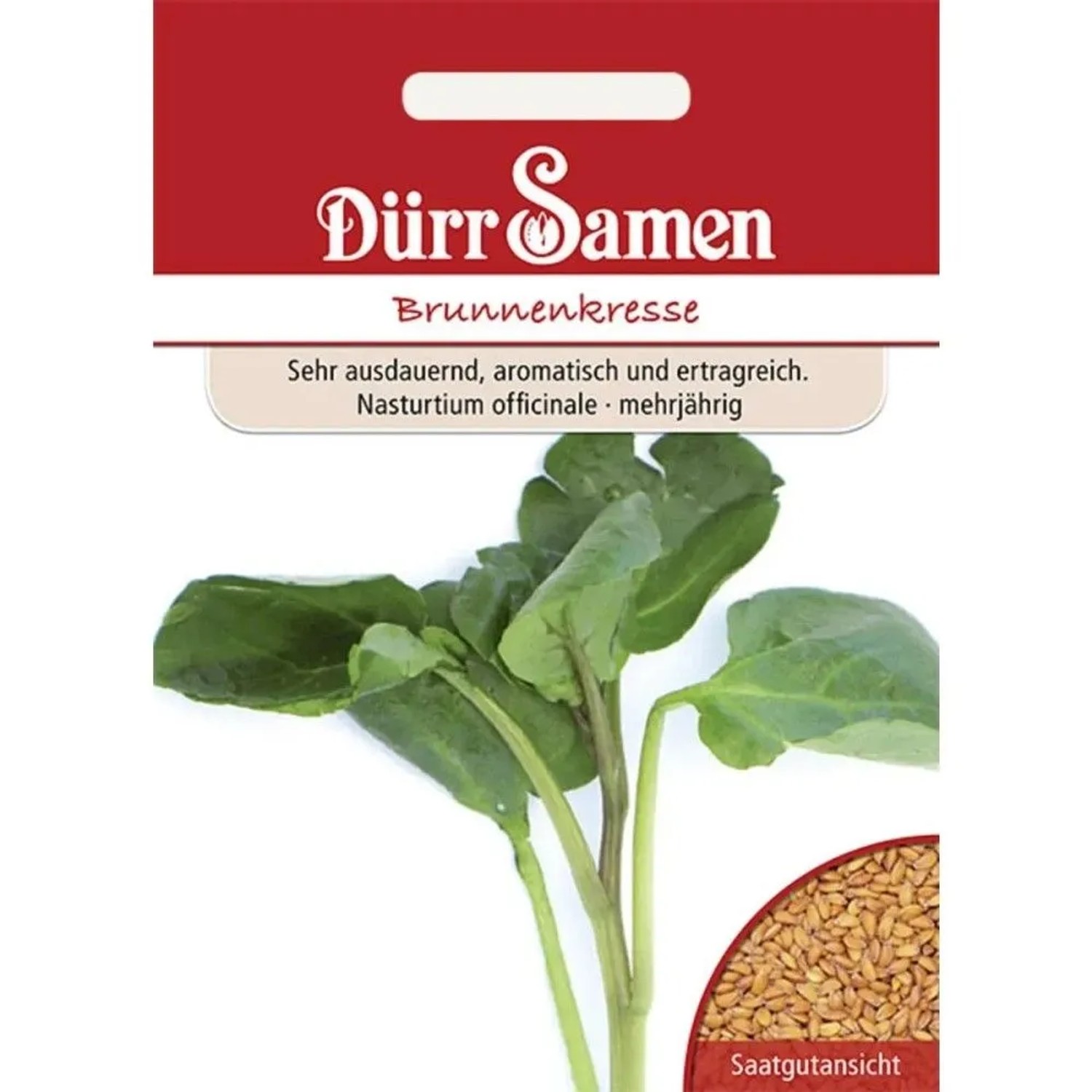 Dürr Samen Brunnenkresse Saatgut