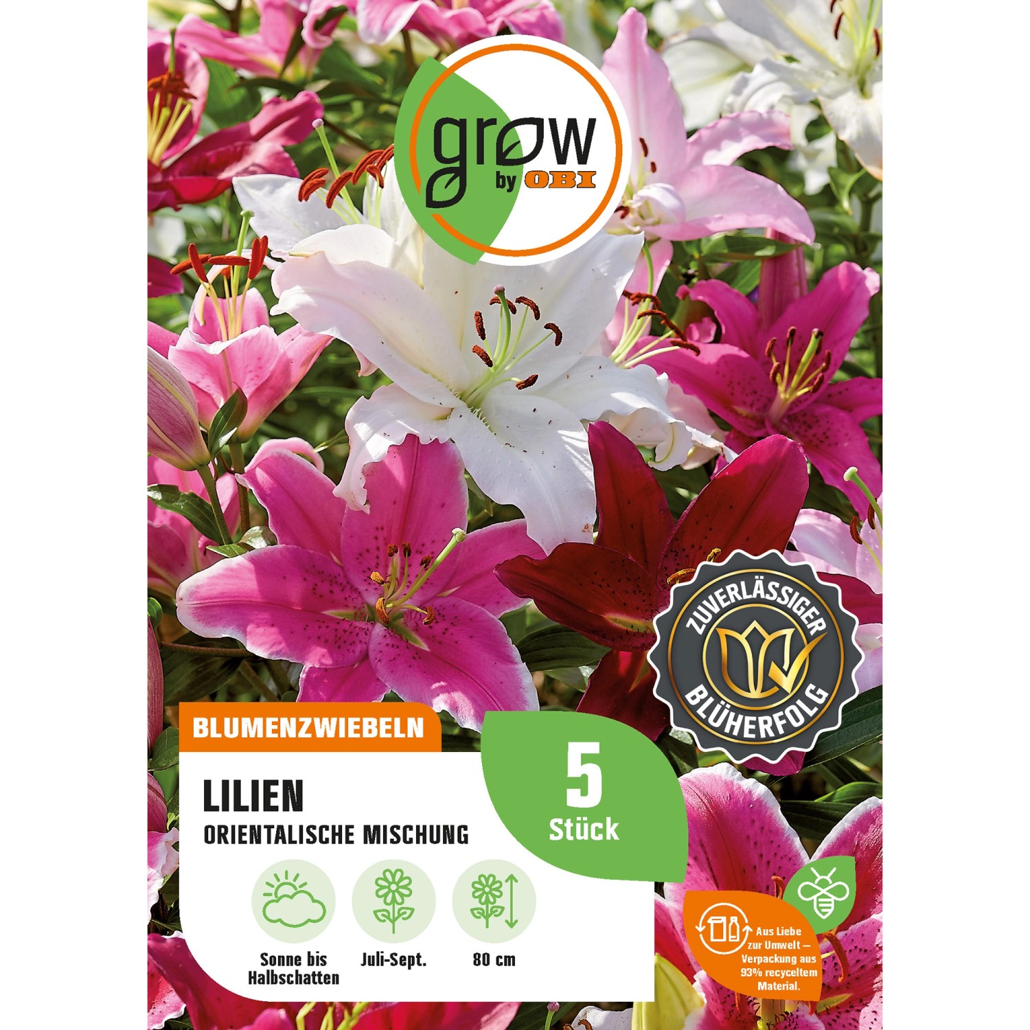 GROW by OBI Lilien Mischung Höhe ca. 80 cm Lilium oriental günstig online kaufen