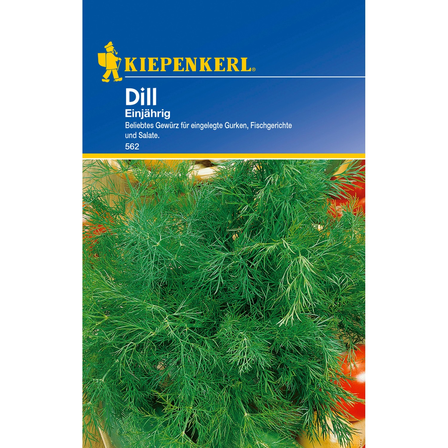 Kiepenkerl Dill einjährig