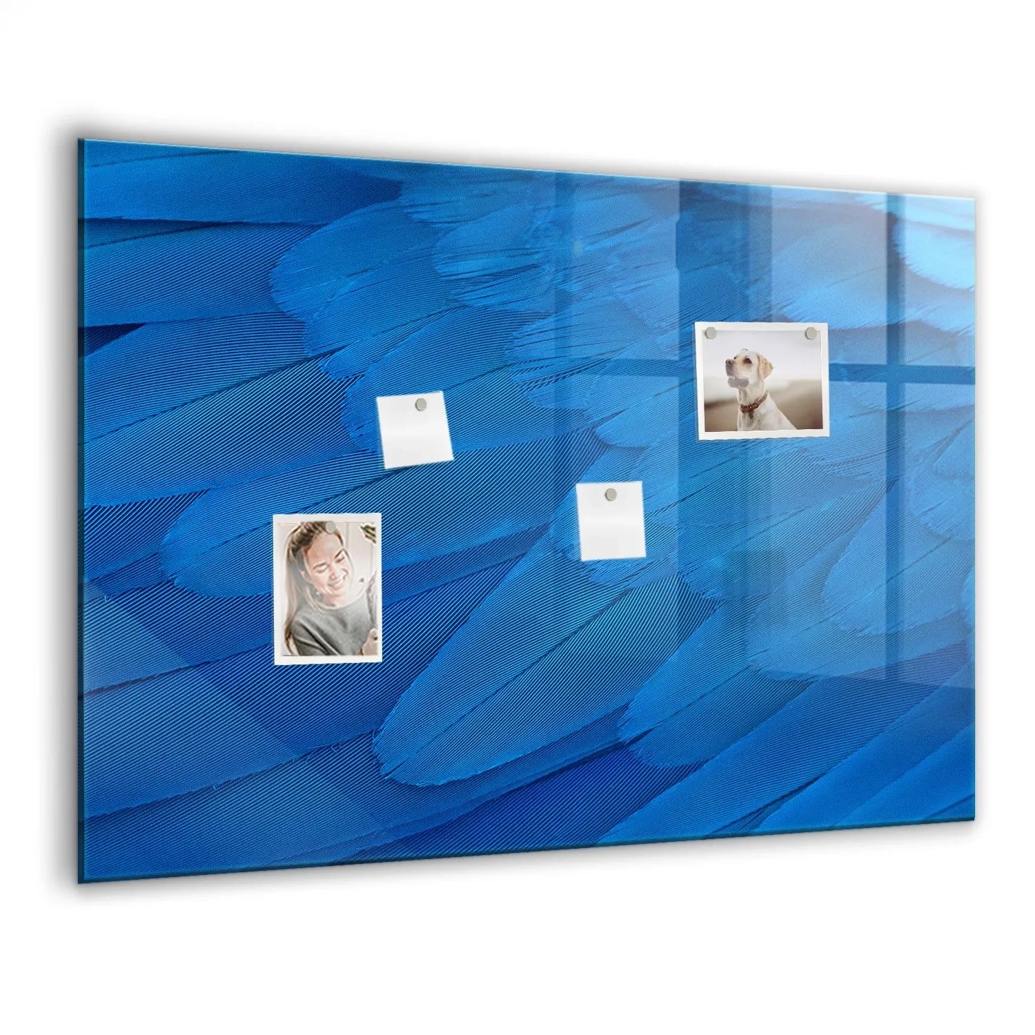 Tulup Beschreibbare Magnettafel Vogelfeder 100x70 cm Beschreibbare Magnettafel Küche Weißer Marker Magnetisches Glassboa...