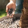 Lechuza Palm Pon Pflanzsubstrat in Hand über Pflanzkübel mit Palme. Spezialsubstrat für Palmen.
