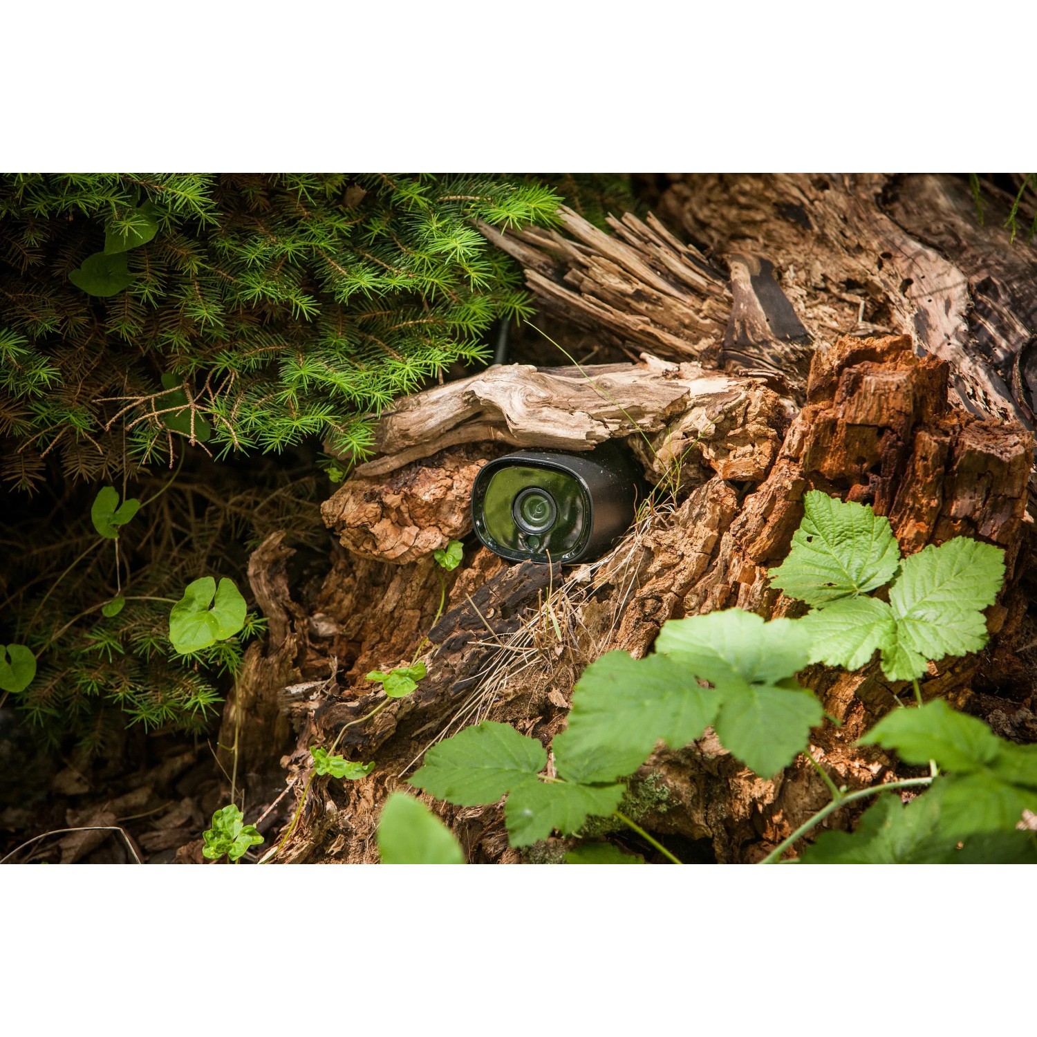 Summer Fun Smart Garden Cam, eine schwarze Outdoor WLAN Kamera im Garten auf einem Baumstumpf.