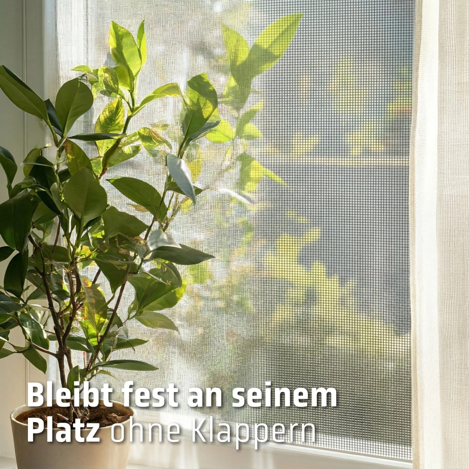 Cocoon Insektenschutzrollo, anthrazit, am Fenster mit Pflanze im Vordergrund.