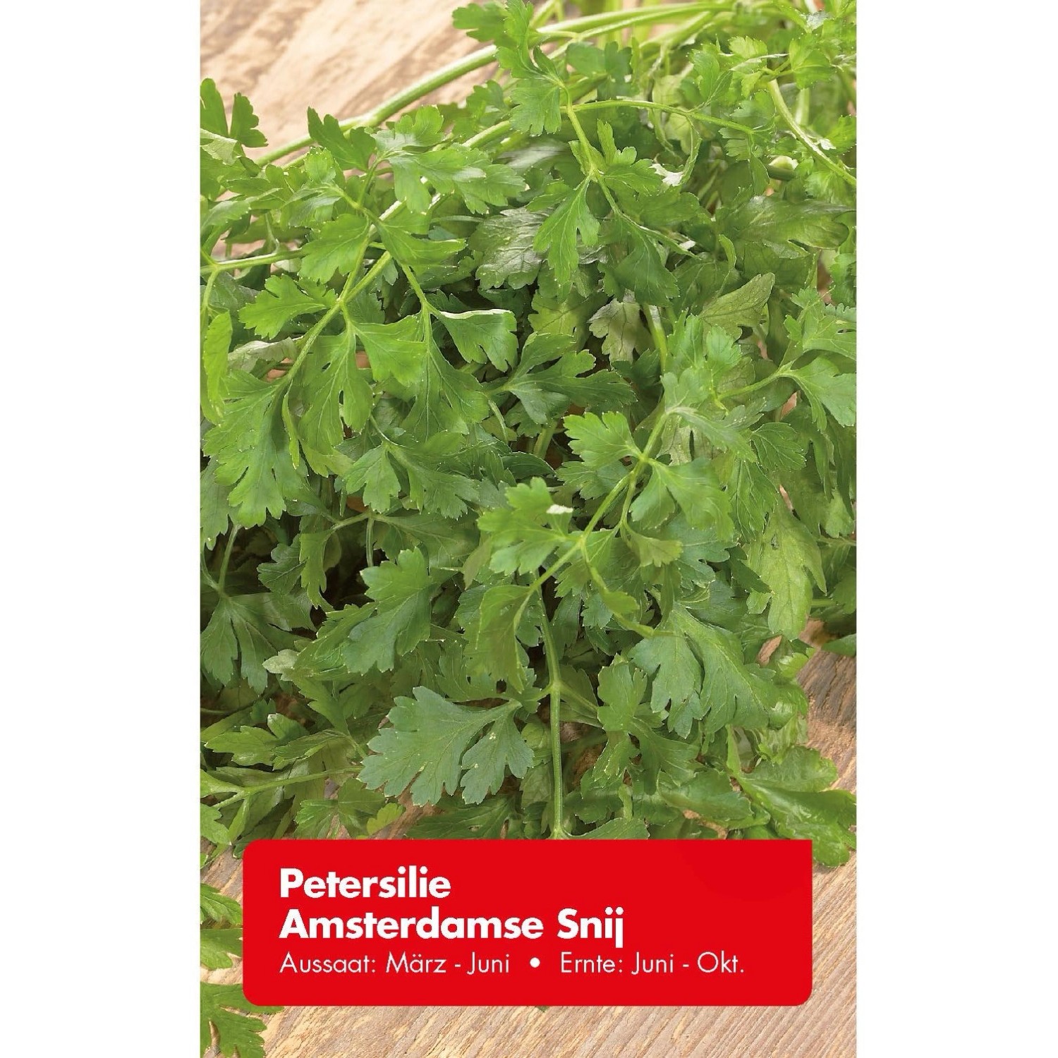 Petersilie Amsterdamse Snij