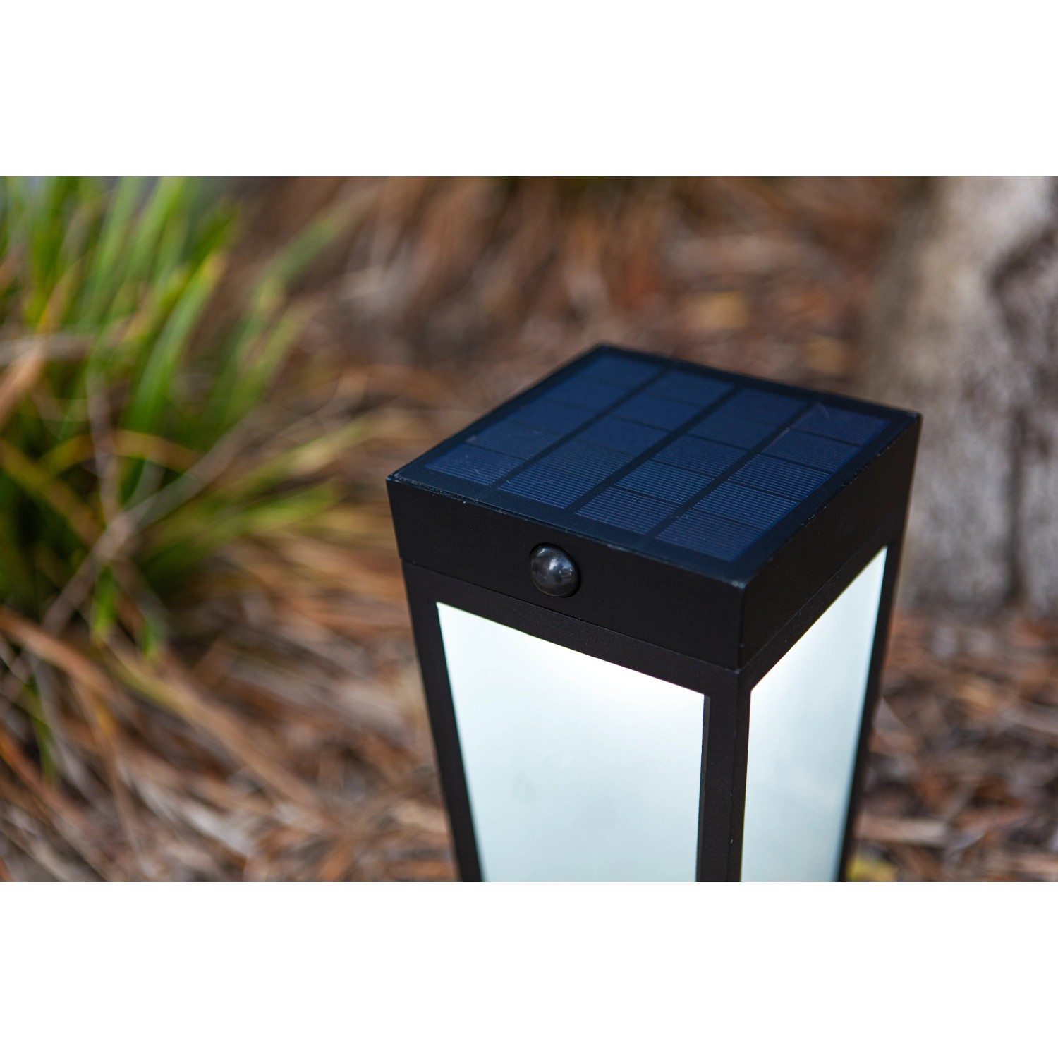Moderne, mattschwarze Lutec LED Solar Wegeleuchte Dias mit Solarpanel und Lichtsensor.