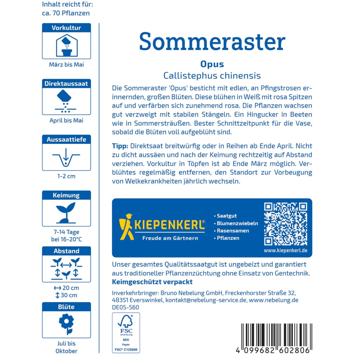 Kiepenkerl Sommeraster Opus Saatgut: Blüte in Weiß-Rosa, ca. 70 Pflanzen