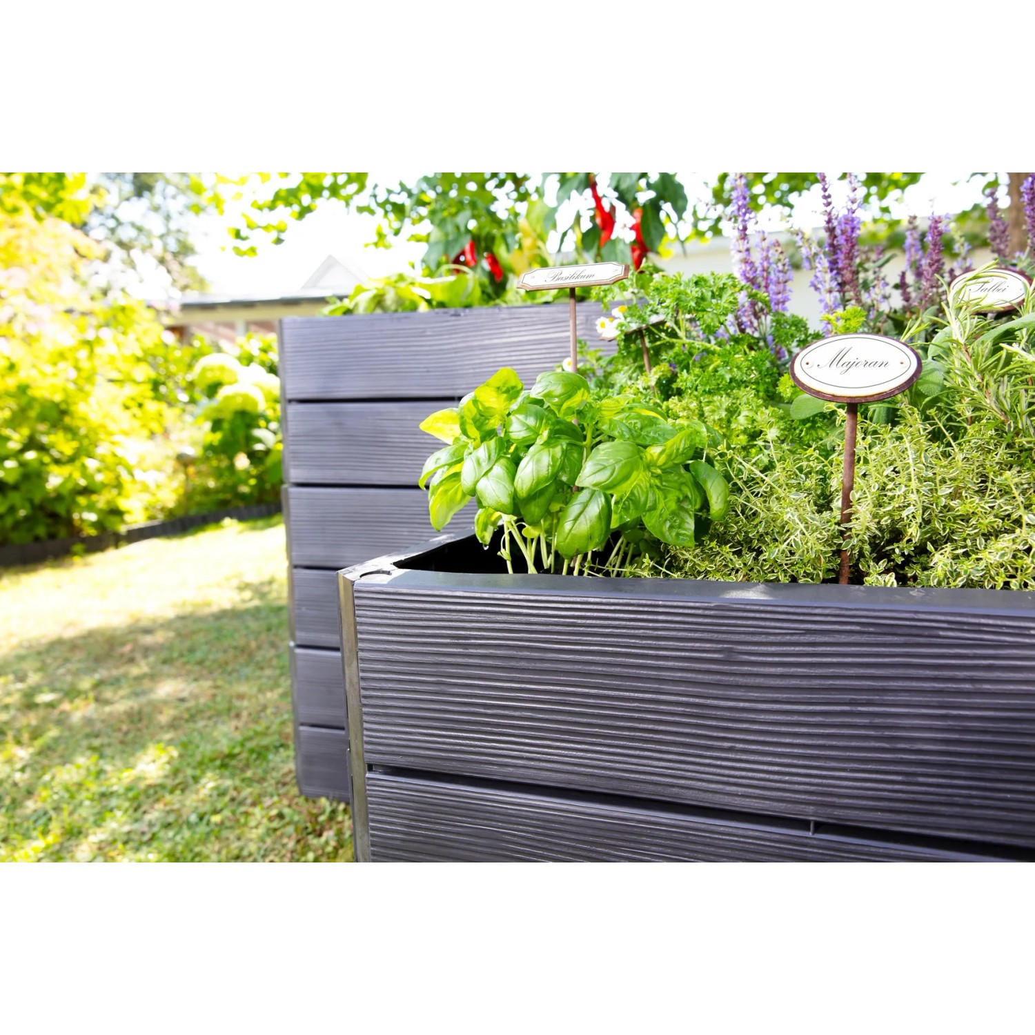 Garantia Hochbeet Ergo Vario 3 Wood mit Kräutern im Garten, modulare Bauweise.