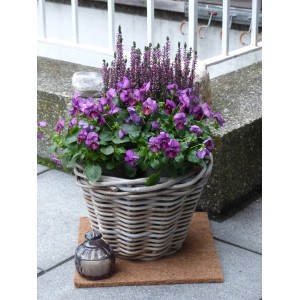 Blumenarrangement im Korb auf Kokosfaser Mulchmatte, ideal als Topfuntersetzer und Baumschutz.