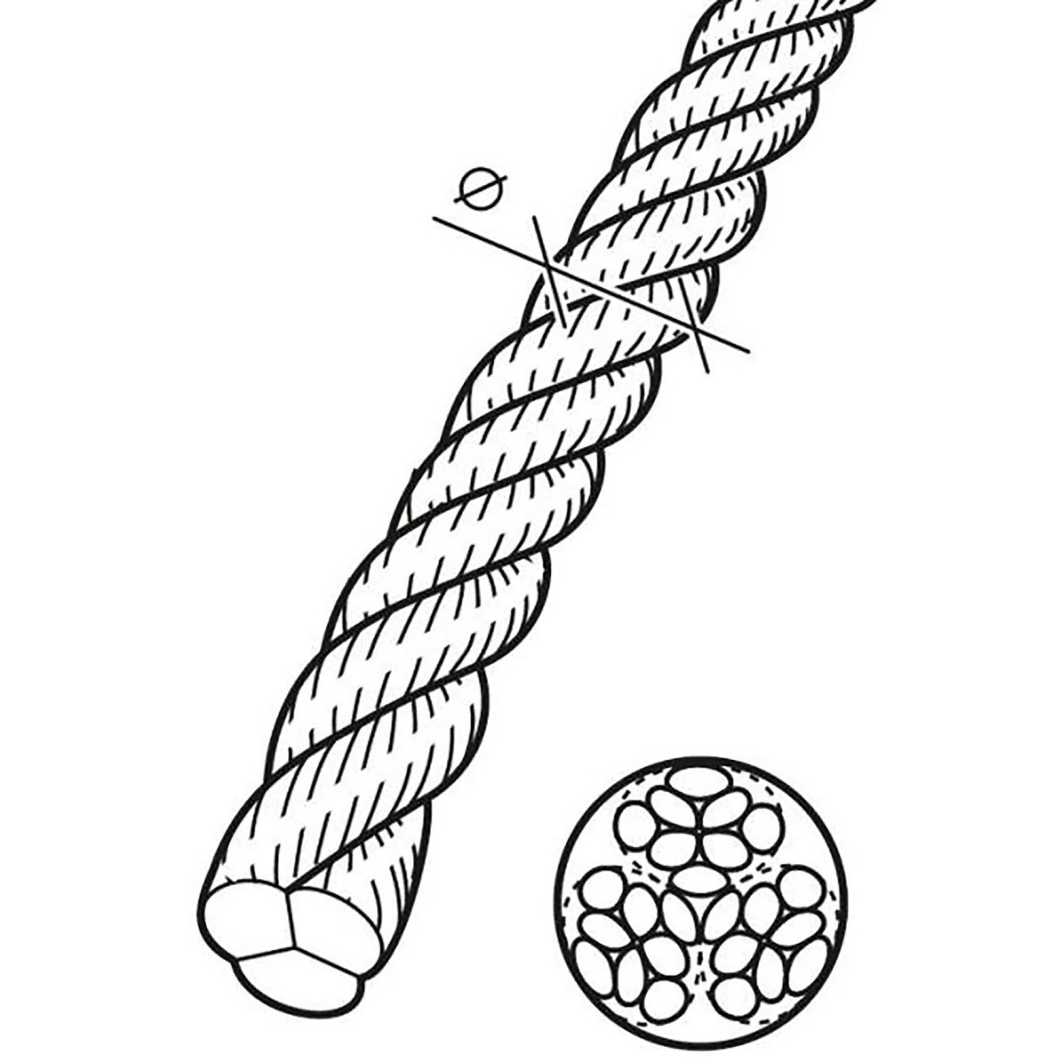 Abbildung eines weißen, gedrehten Polyesterseils (6 mm, 20 m) mit Querschnitt.