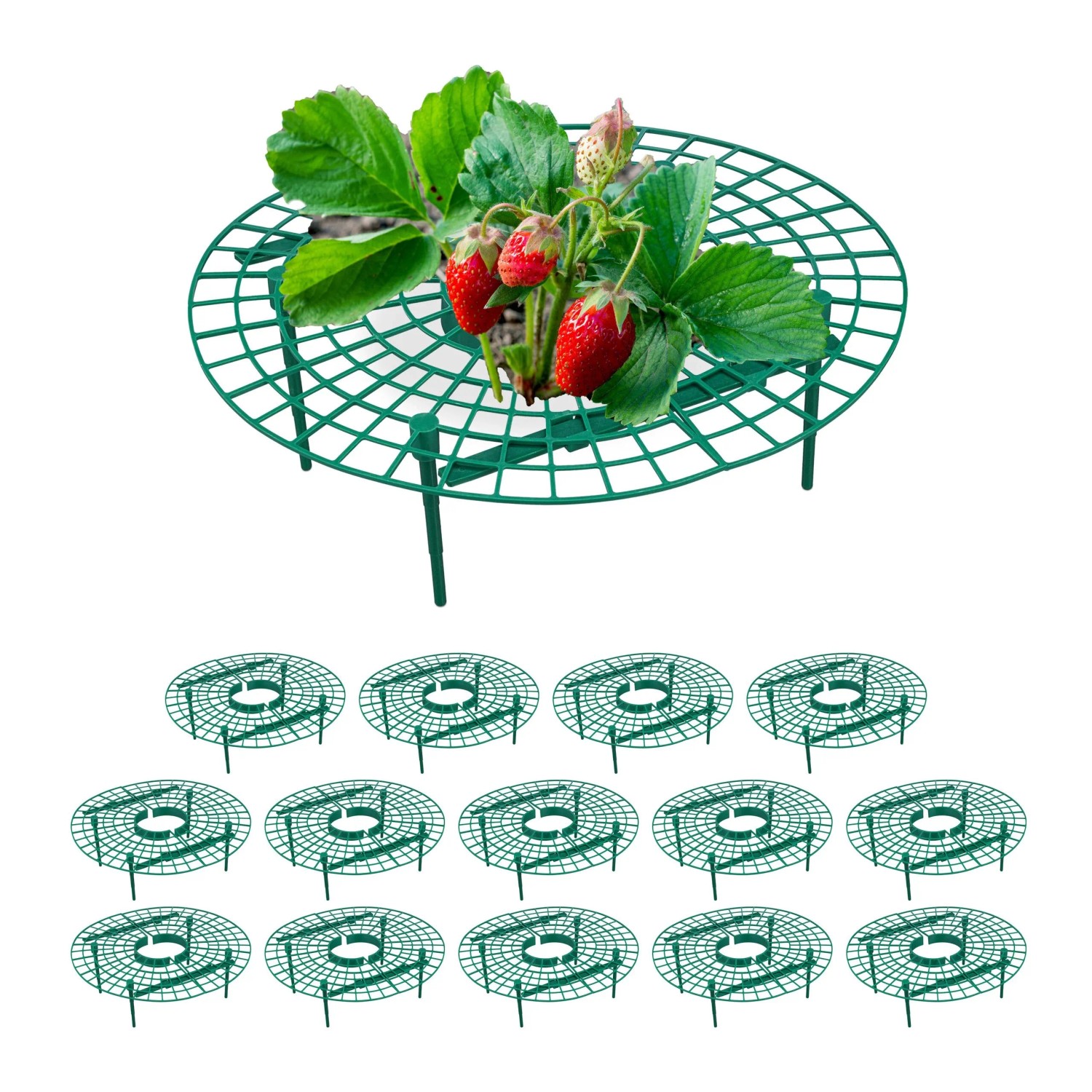 Relaxdays Erdbeerreifer 15er Set Kunststoff Grün 10 cm x 30 cm 60 g