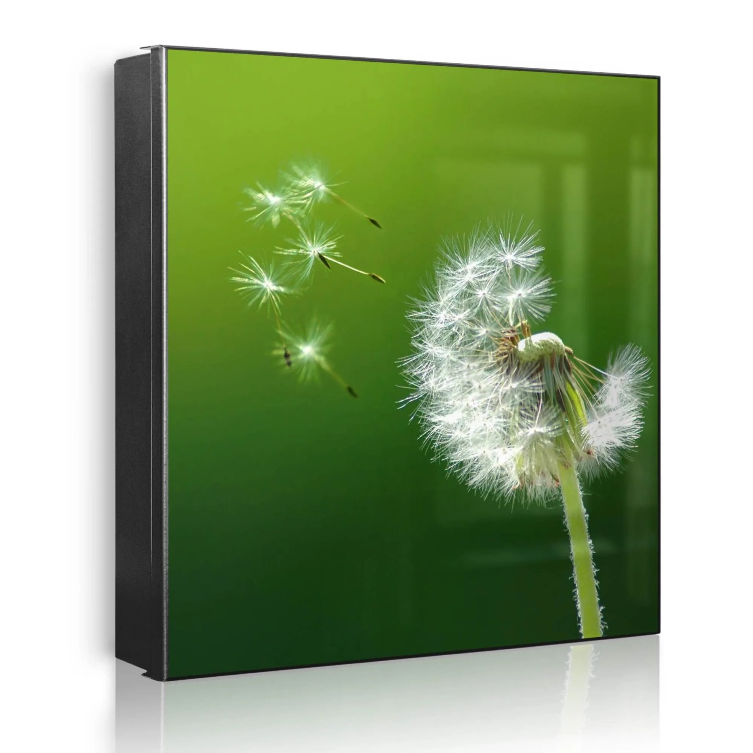 Banjado Großer Schlüsselkasten Metall 30x30cm Schwarz Scharnier Links 50 Haken Beschreibbar Magnetisch Motiv Pusteblume