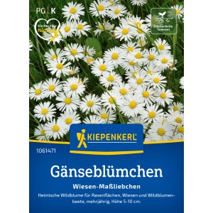 Kiepenkerl Saatgut Gänseblümchen Wiesen-Maßliebchen
