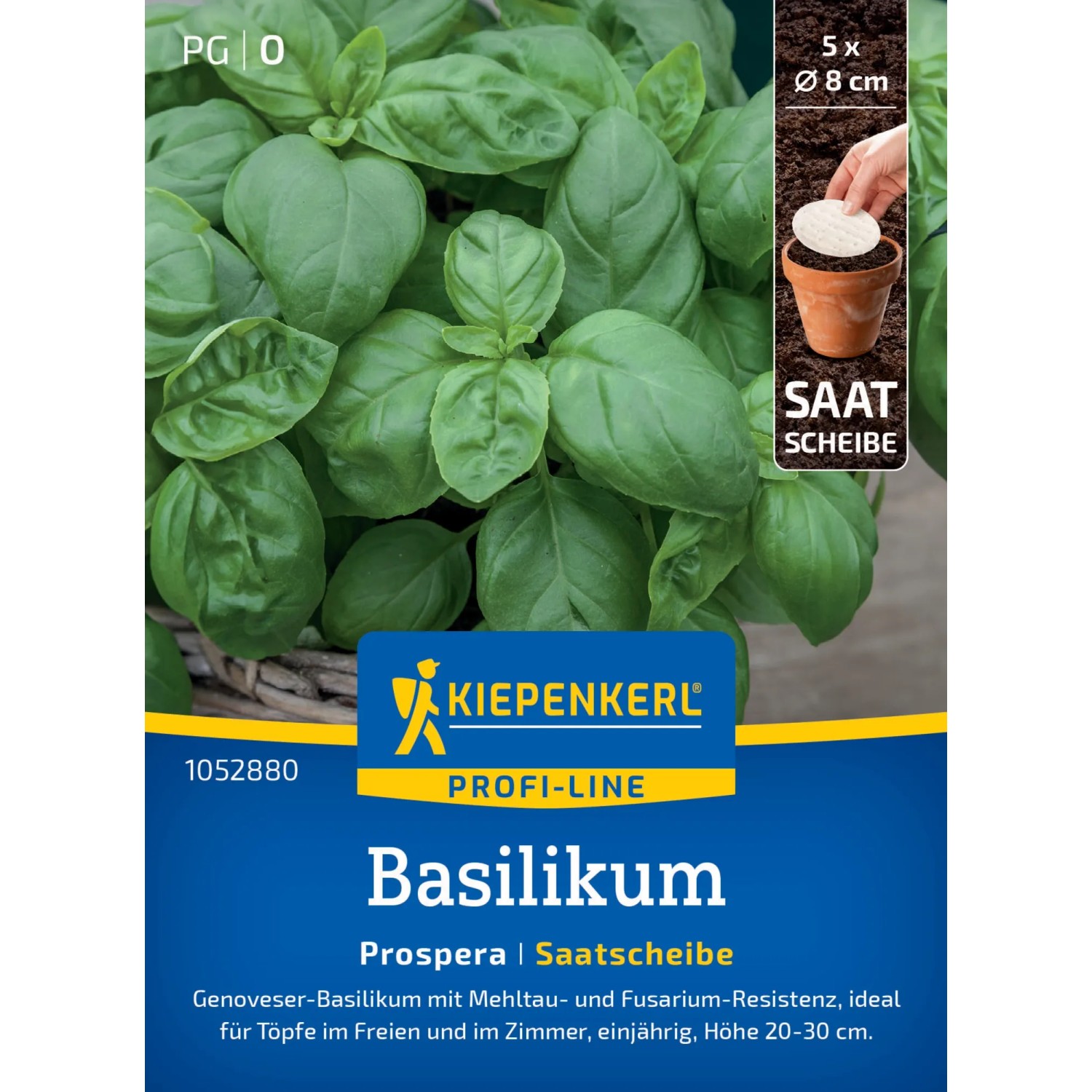 Kiepenkerl Basilikum Prospera Saatscheibe mit grünen Blättern.