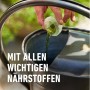 Anwendung von Compo Rosendünger: Flüssigdünger wird in eine Gießkanne gefüllt.
