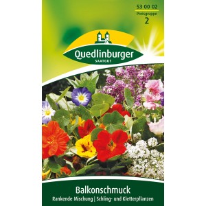 Quedlinburger Balkonschmuck, rankende Mischung verschiedener Schling- und Kletterpflanzen.