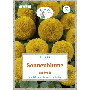 Saatgutpackung Grüne Fee Sonnenblume Teddybär mit gelben, runden Blüten.