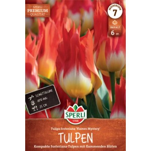 Sperli Fosteriana-Tulpe 'Flames Mystery' mit rot-gelben Blüten auf der Verpackung.