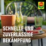 Compo Ameisen-Köder: Zwei Köderdosen auf einem Tisch mit Getränken und Obst im Garten.