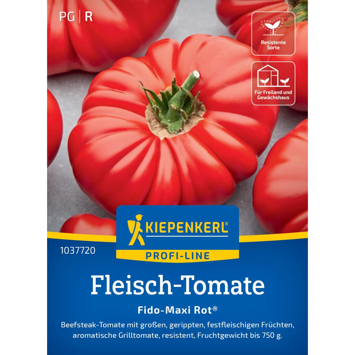 Kiepenkerl Fleisch-Tomate "Fido-Maxi Rot" F1-Hybride