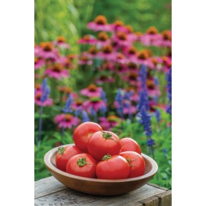 Frische, rote Fleischtomaten der Sorte Grow by OBI in einer Holzschale vor blühendem Garten.