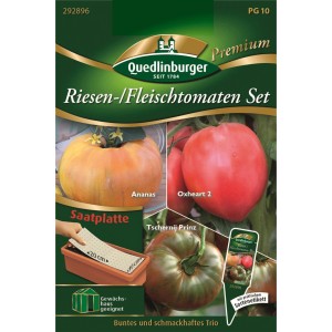 Quedlinburger Fleisch-Tomaten Set Saatplatte mit 3 Sorten: Ananas, Ochsenherz und Tschernij Prinz.