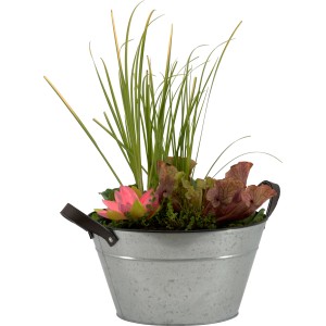 OBI Terrassenteich in Zinkwanne mit Wasserpflanzen, Topf-Ø 38cm.