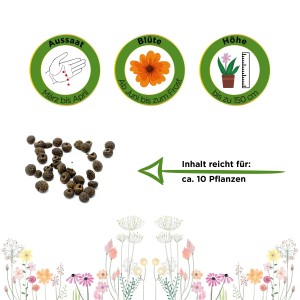 Schwarzäugige Susanne Samen: Aussaat, Blüte, Höhe und Inhalt für ca. 10 Pflanzen.