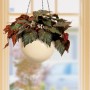 Cremefarbene Scheurich Hängeampel 845, Ø 22 cm, mit Pflanze vor einem Fenster.