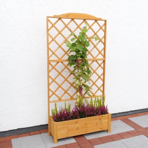 Botanica Pflanzkasten mit Spalier (210x110x32cm) mit Bepflanzung und Weinrebe.