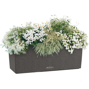 Lechuza Balconera Stone 50, graphitschwarzer Blumenkasten mit Bepflanzung.