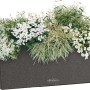 Lechuza Balconera Stone 50, graphitschwarzer Blumenkasten mit Bepflanzung.