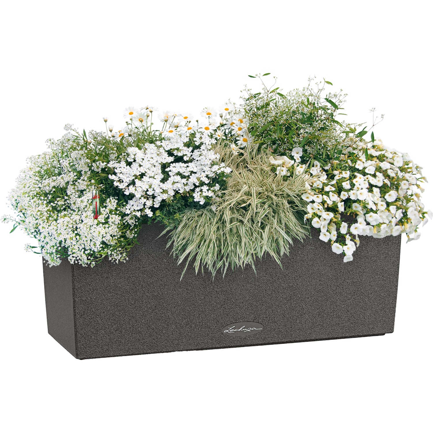Lechuza Balconera Stone 50, graphitschwarzer Blumenkasten mit Bepflanzung.