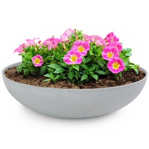 Hellgraue, marmorierte Pflanzschale (45x13 cm) mit pinkfarbenen Blumen für den Außenbereich.