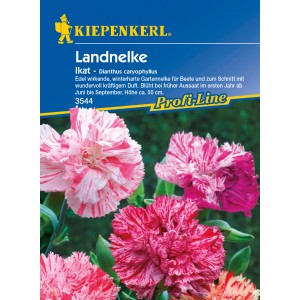 Kiepenkerl Landnelke Ikat: Weiß-pink gesprenkelte Nelkenblüten auf der Samenpackung.