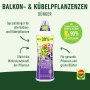 Compo Balkon- und Kübelpflanzendünger 1,3l Flasche mit Pflanzenmotiven und Hinweisen zur Anwendung.
