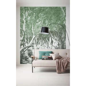 Sanders & Sanders Fototapete Wald Grün 200x250cm an Wohnzimmerwand hinter Sofa.