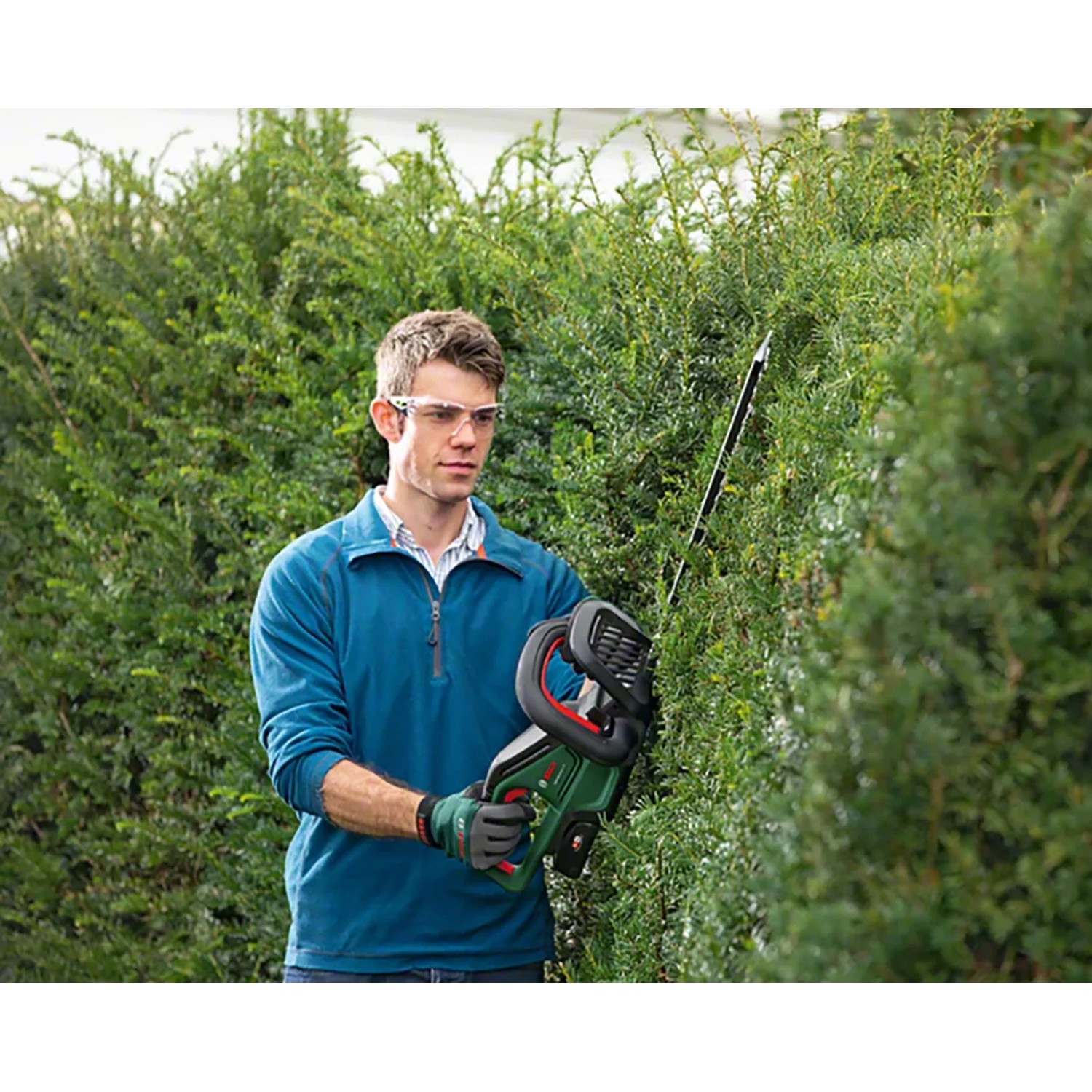 Mann schneidet Hecke mit Bosch Akku-Heckenschere Universal Hedge Cut 18-55.