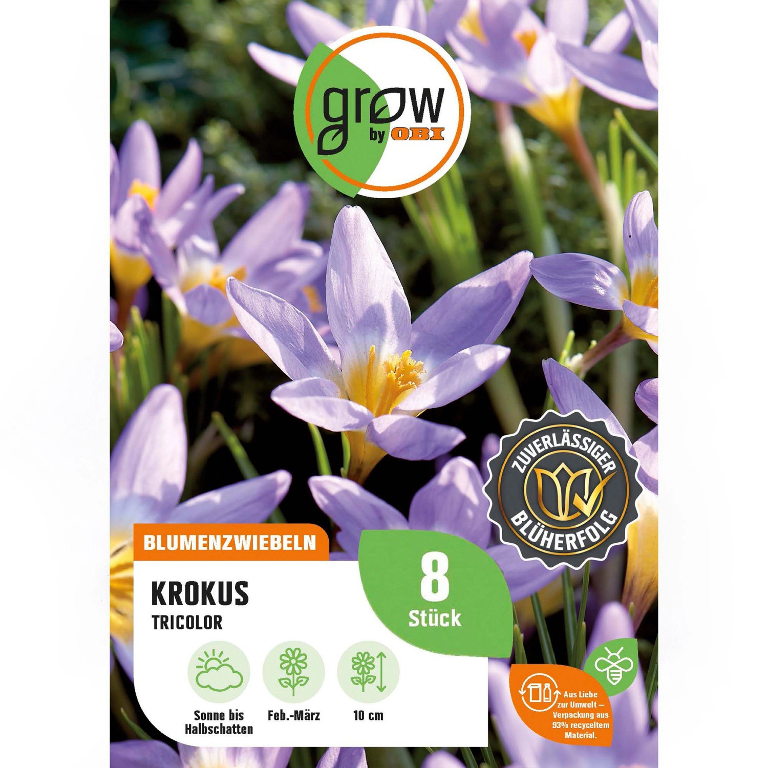 GROW by OBI Krokus Tricolor Lila-Beige 8 Stück Crocus sieberi Tricolor günstig online kaufen